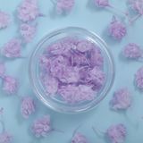 商品の一覧の画像