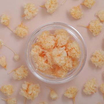 商品のサムネイル画像