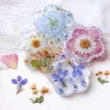 商品の一覧の画像