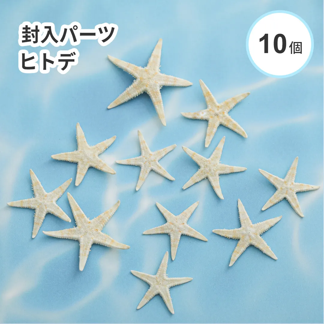 【10個入り】封入パーツ ヒトデ ケース入り