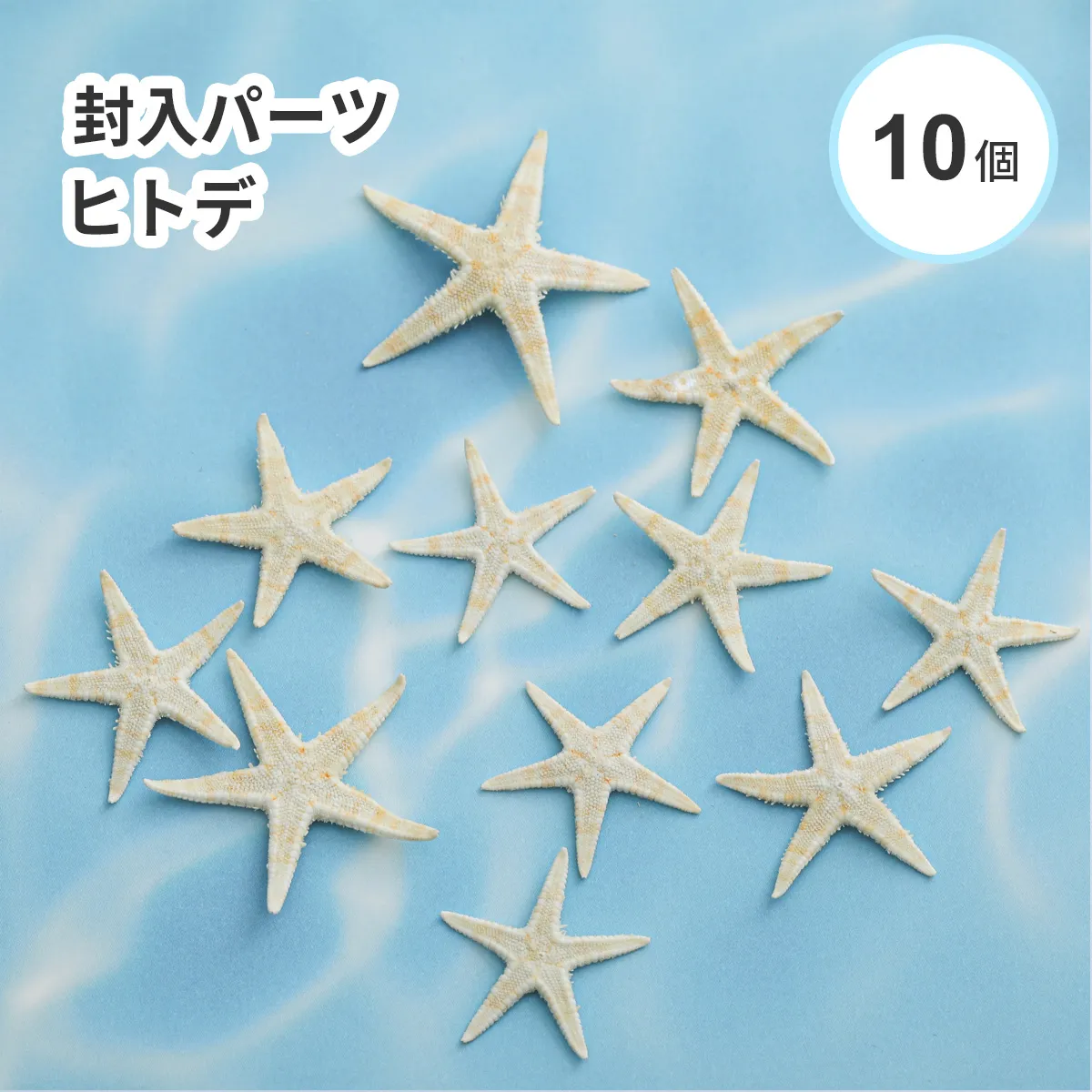 【10個入り】封入パーツ ヒトデ ケース入り