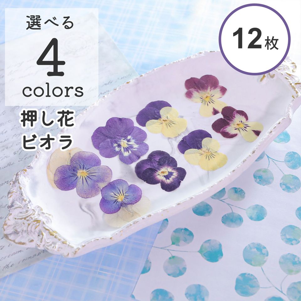 花材 の 小分けフラワー商品一覧 | クロッチャショップ
