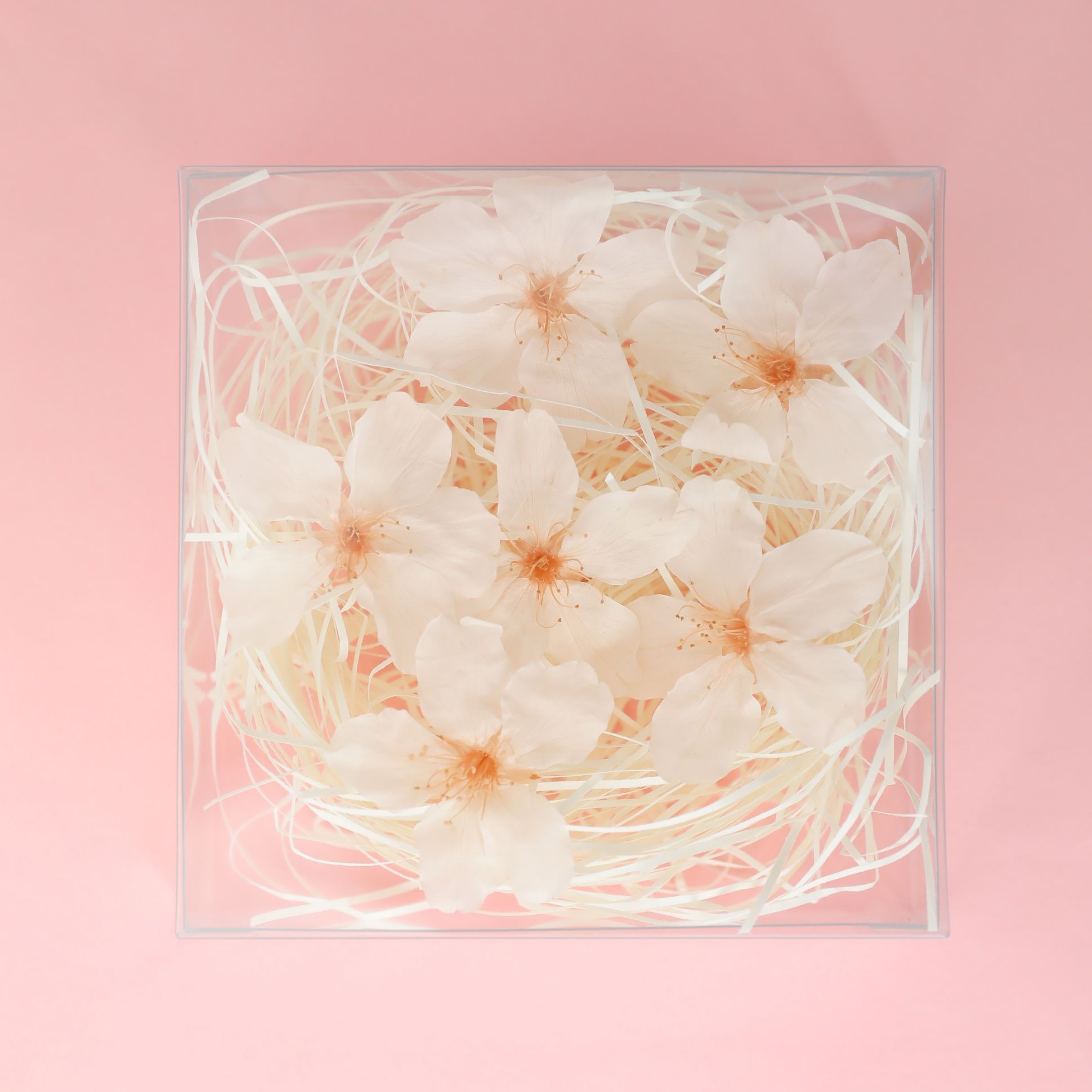 新品30弁～桜の花びら散るたびに～ ♪桜（コブクロ）オルゴール320オルフェウス 新品30弁～桜の花びら散るたびに～ ♪桜（コブクロ）オルゴール320