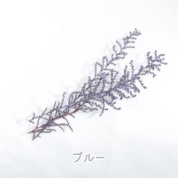 商品のサムネイル画像