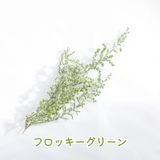 商品の一覧の画像