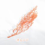 商品の一覧の画像