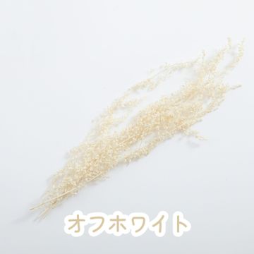 商品のサムネイル画像