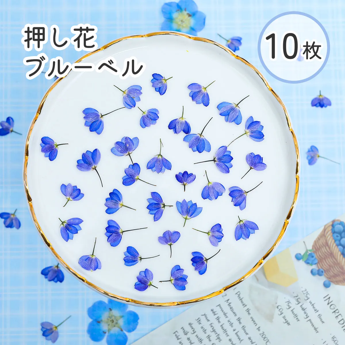 数量限定 国産 押し花 ブルーベル 小花