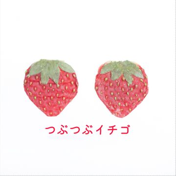 商品のサムネイル画像