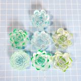 商品の一覧の画像