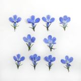 商品の一覧の画像