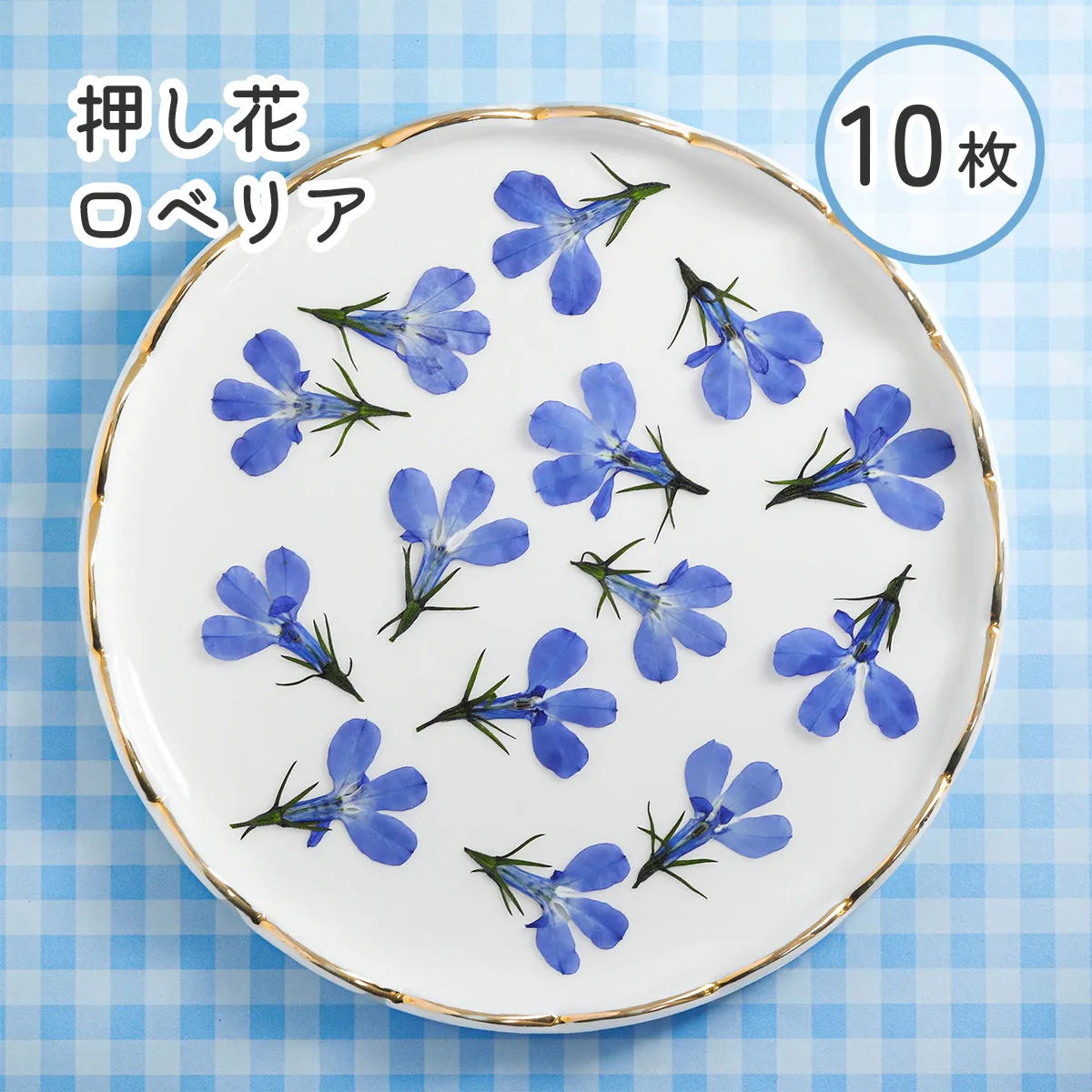 new 押し花  ドライフラワー ロベリア ブルー 10枚 mflower