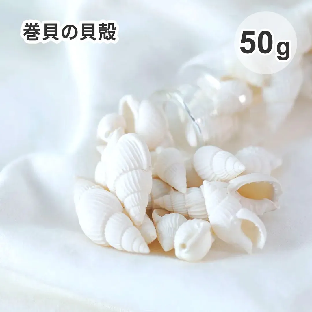 巻貝の貝殻 ホワイト 大 約50g 天然素材
