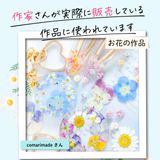 商品の一覧の画像