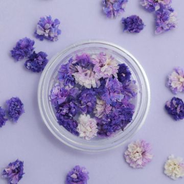 商品のサムネイル画像