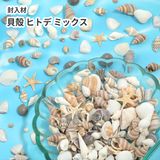 商品の一覧の画像