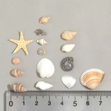 商品の一覧の画像