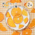 押しフルーツ スライスオレンジ 3種 素材 【mflowerコラボ】