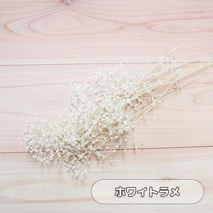 商品の画像