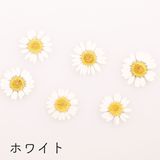 商品の一覧の画像