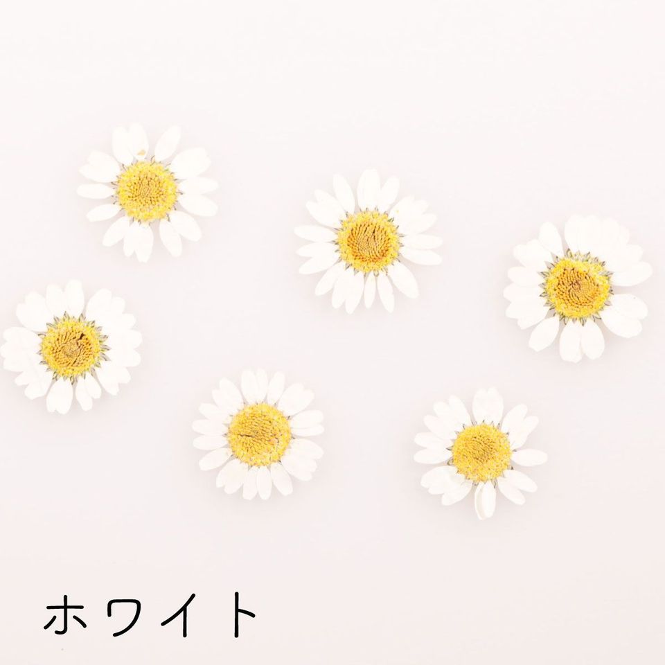 商品の画像