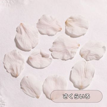 商品のサムネイル画像