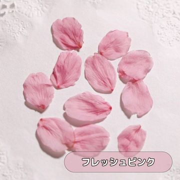 商品のサムネイル画像