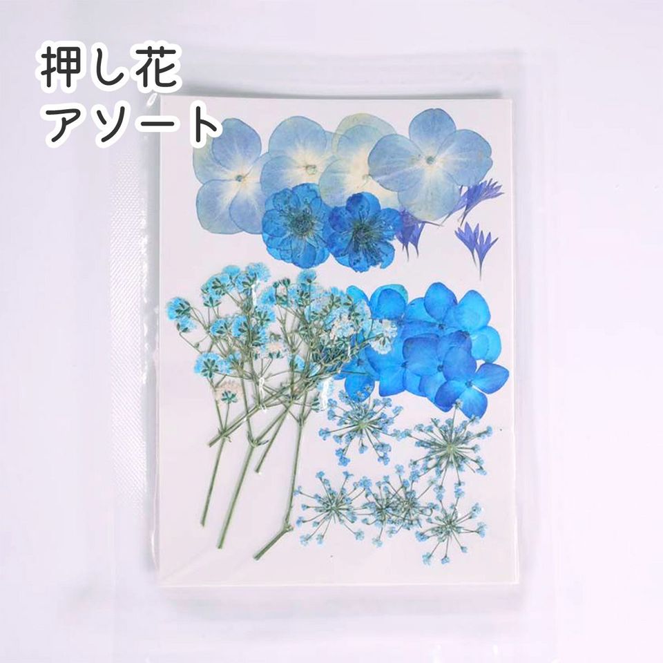 商品の画像