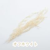 商品の一覧の画像