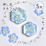 商品の一覧の画像