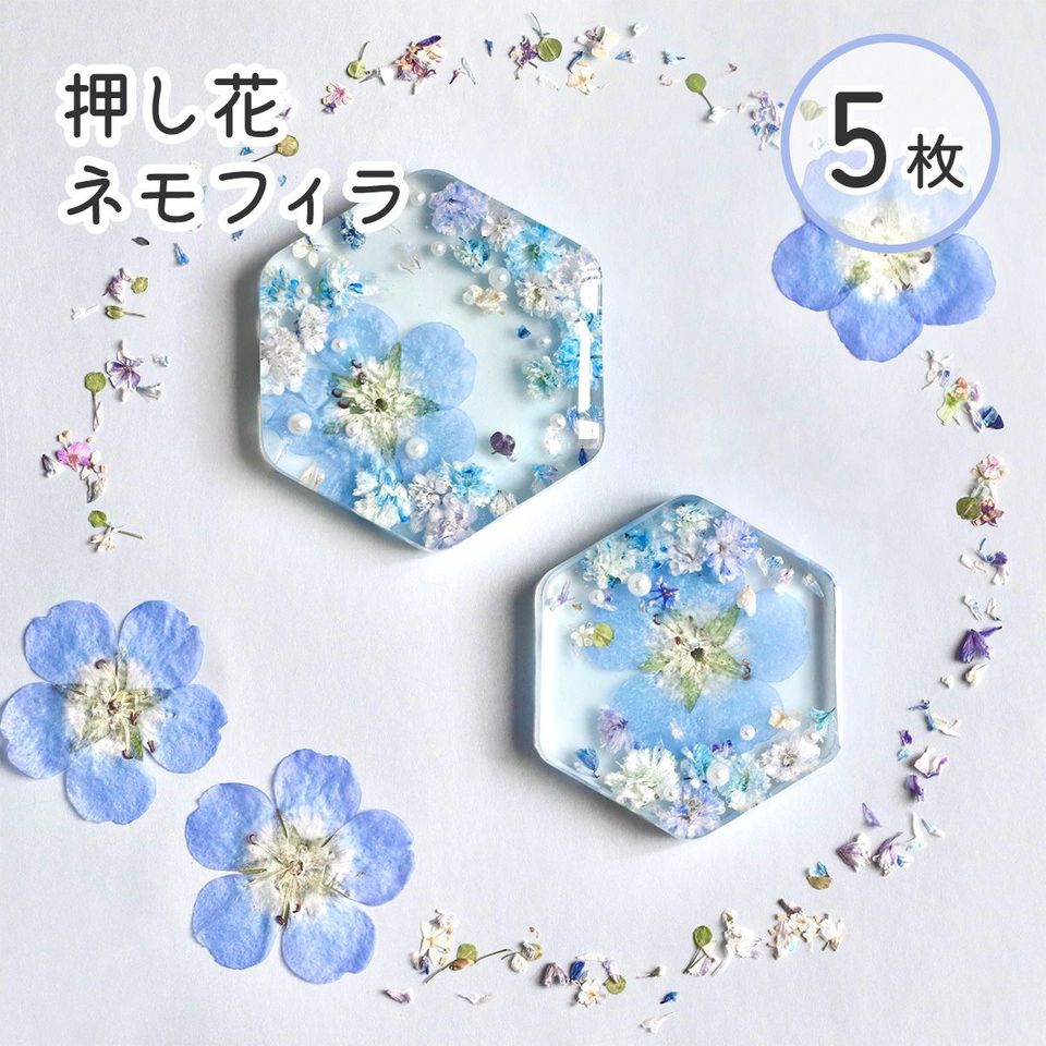商品の画像