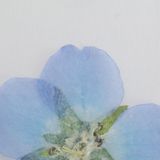 商品の一覧の画像