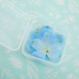 商品の一覧の画像