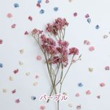 商品の一覧の画像