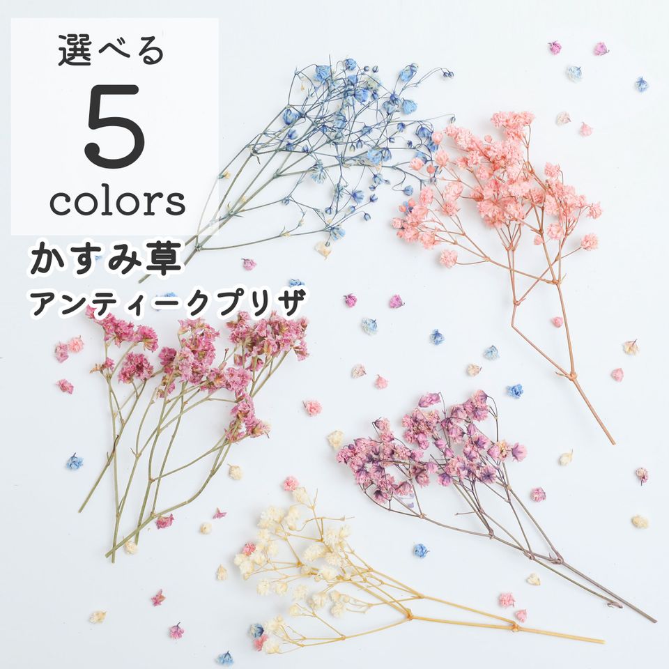 商品の画像