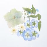 商品の一覧の画像