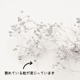 商品の一覧の画像