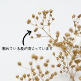 商品の一覧の画像