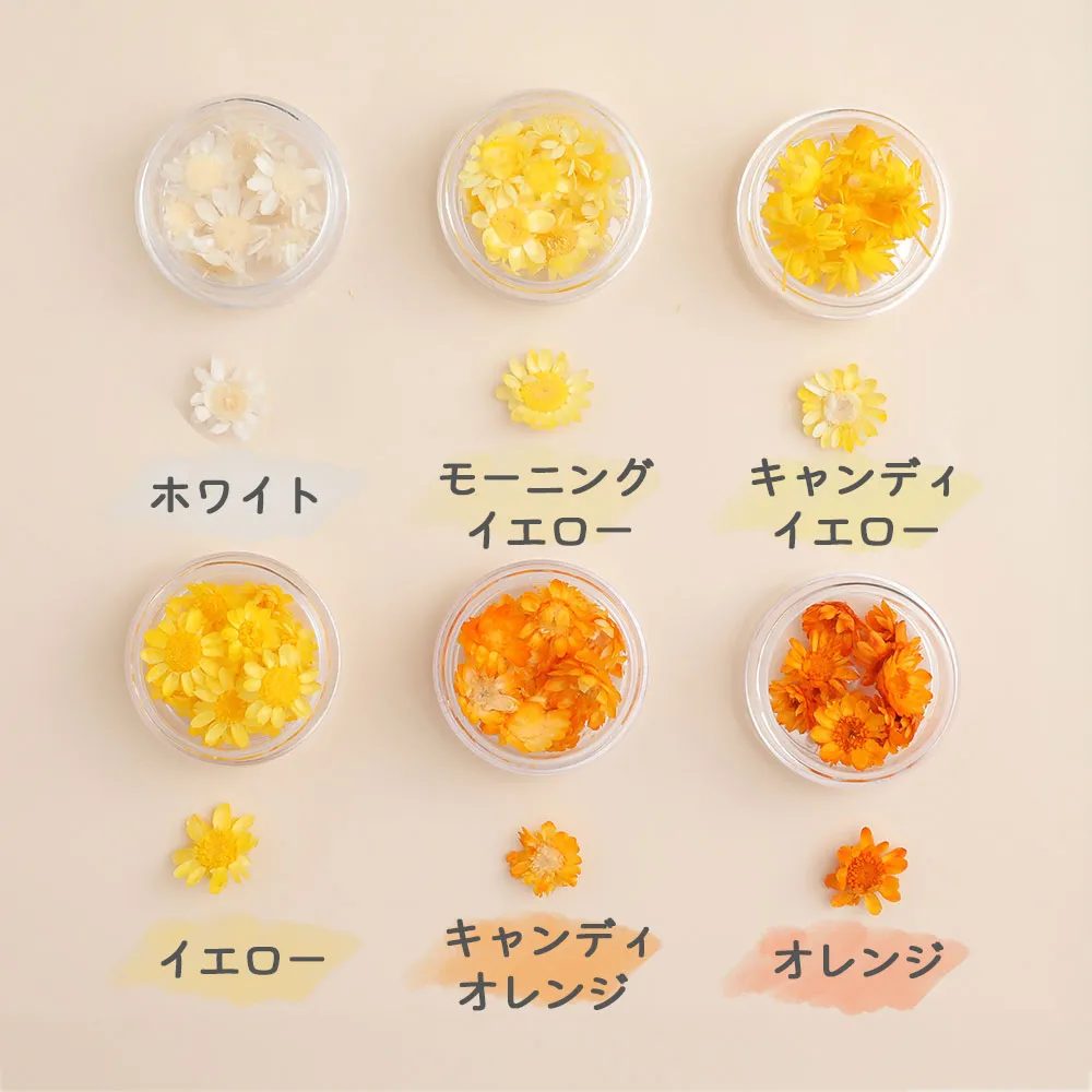 ブロッサム