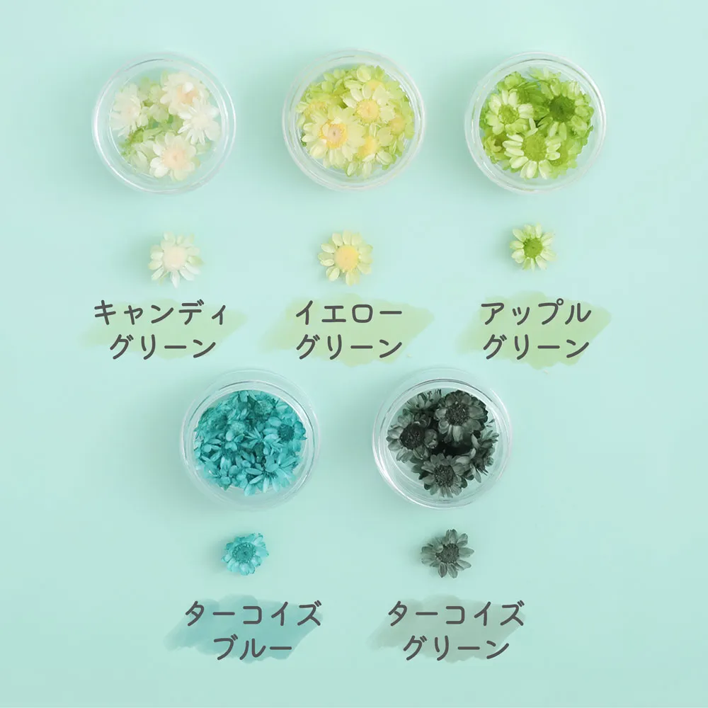ブロッサム