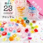 【小分け】 スターフラワーブロッサム レジン用花材 封入 小さいお花