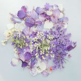 商品の一覧の画像