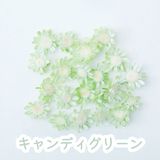 商品の一覧の画像