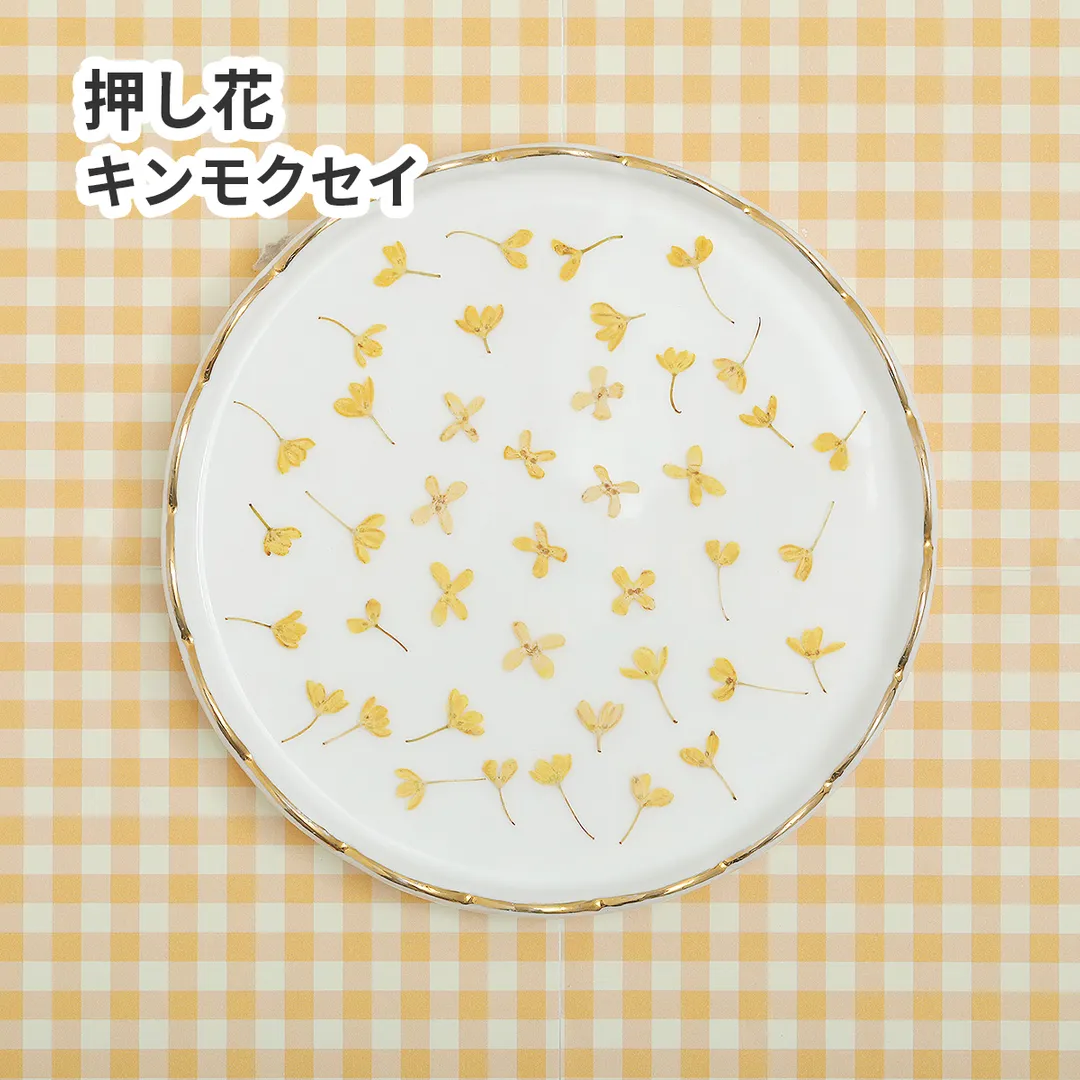 押し花 キンモクセイ 小花 14枚