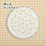 商品の一覧の画像