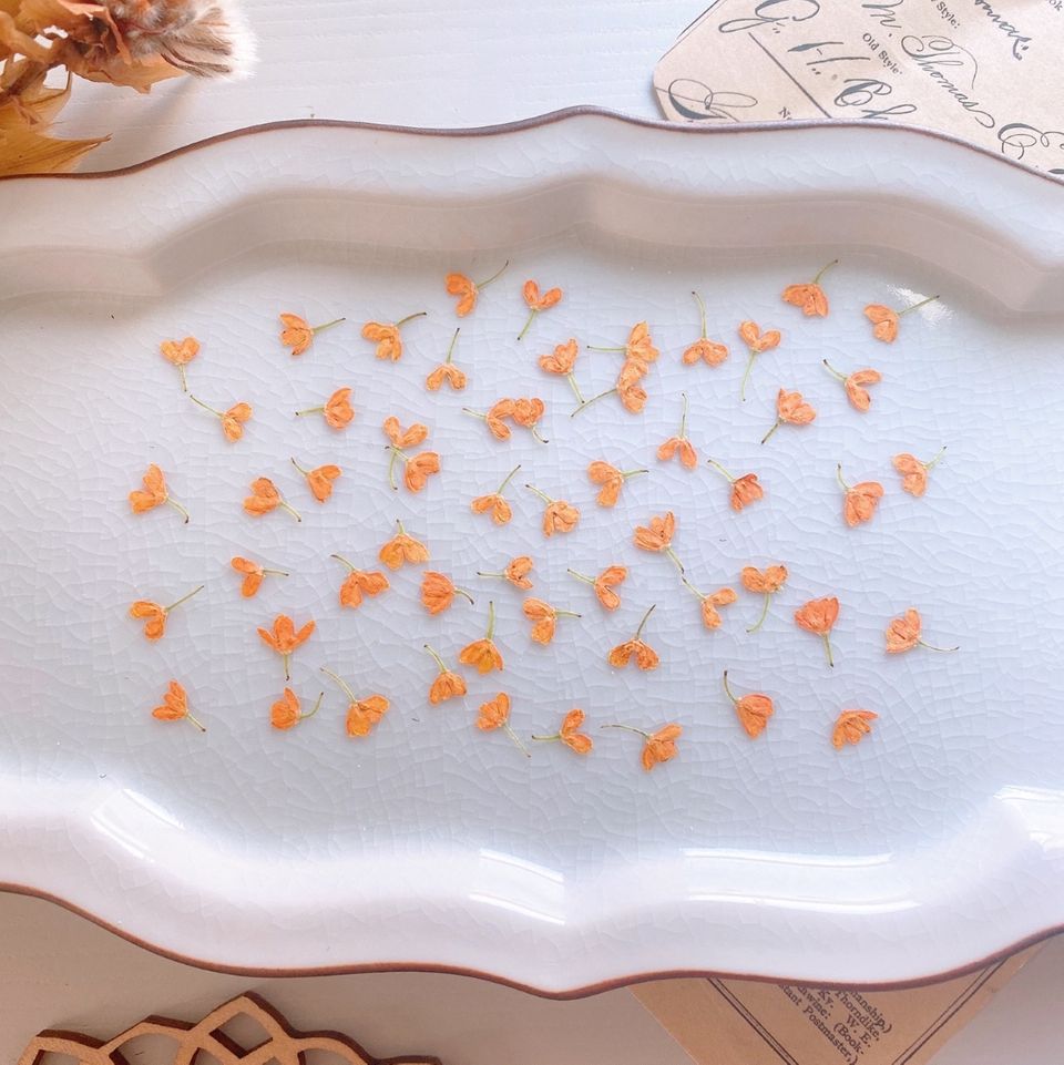 商品の画像