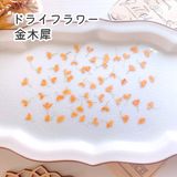 商品の一覧の画像