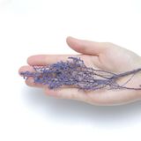 商品の一覧の画像