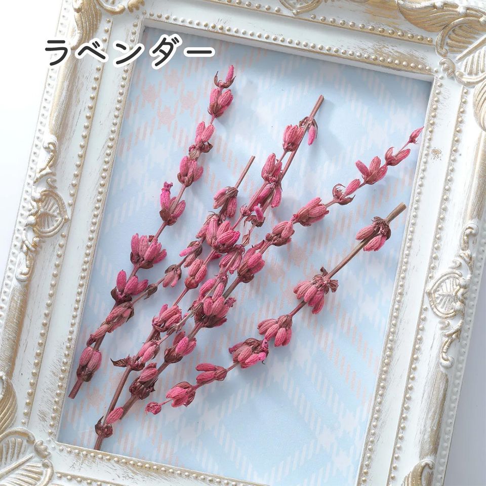 商品の画像