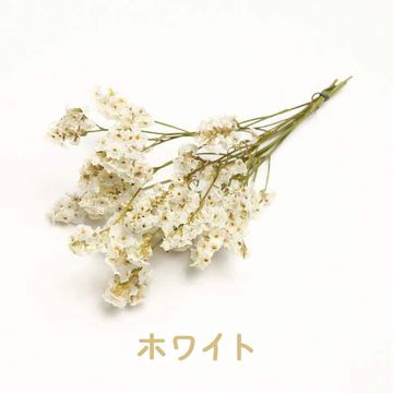 商品のサムネイル画像